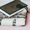 mohamedmessadek0