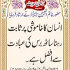 azmeer.khan.170