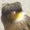 pequeniosabandija