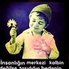 fexreddin.babeyev6
