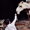 hamud.alhmadi