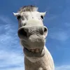mutkhongcay_46