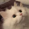 spiky_666