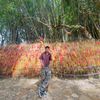 bikkku__syangbo11