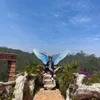 d.linh225