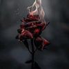 akram466764371