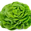 saladedesbois