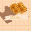_flonotes_
