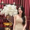 thanhhang.192