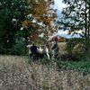 coltyg0611