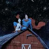 cosmosicc