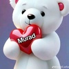 murat_arif