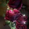 user76219051