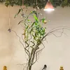 bofahed_