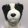 bernerddog