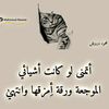 user44909775daimontina