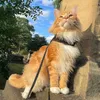 hismajestyoscar