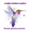 colibri099