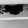 luciana_m.1