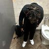 lilmaury