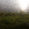 pisinsanammen