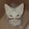 avatarkiciww