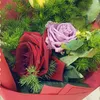 mumin.alnajar