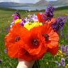 aynuraynur0404