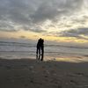 alerivera_034