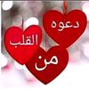 user286325597