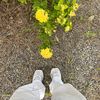 dump.anla