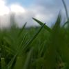 tanishka_tiktok