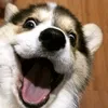 danieldokeb