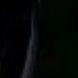 dark.fern