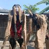 irwanto0421