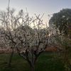 rayan.00982