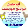 ابو محسن للبيع الذبايح الطايف