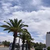kadz916