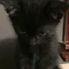 avatarheadshot