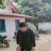 dianadiwibowo