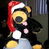 ummabear
