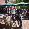 wolfgangherrmann0