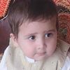 wajihawahab6