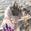 halima_halima40