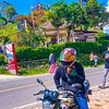 aries_effendi98