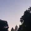 lilyrsvr