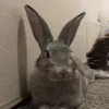 skye_mads09