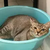 _kimmngoc_7