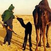 صالحينسعدصالحين��