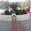p.s.khosa855